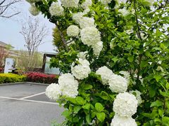 -苏州湾王焰温泉度假酒店
