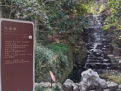 -十八棵（老龙井）御茶园(老龙井店)