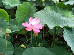 -莲池书院博物馆