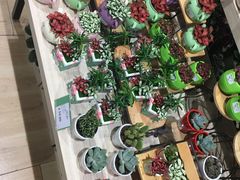 -AEON永旺(东方宝泰店)