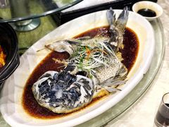 清蒸四海胖头鱼-雅和生态渔庄·宜城锅巴饭(龙灵山公园店)