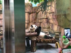 -泉州海丝野生动物世界