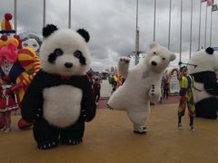 -俄罗斯国家大马戏团