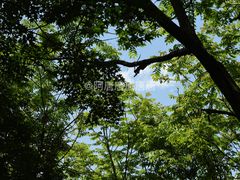 -太平万花山景区