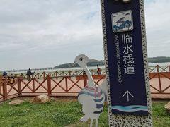 -丁香湖公园