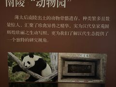 -汉景帝阳陵博物院