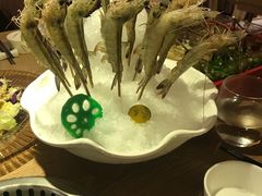 -尚海豆捞(乐虹坊店)