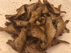 -外沙疍家棚酒楼