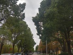 -上海第二工业大学(金海路校区)