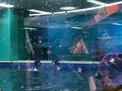 -Swim斯卫姆国际儿童游泳中心(红博中央公园店)
