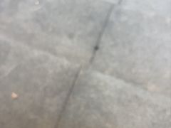 -VPsmart私教健身工作室(新华路旗舰店)