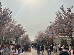 -砂锅李(九江路店)