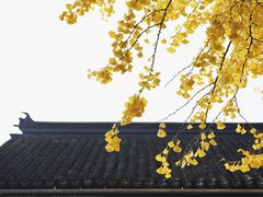 -西园戒幢律寺