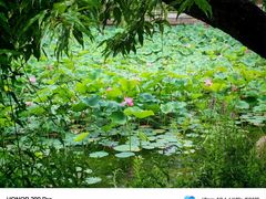 -满都海公园