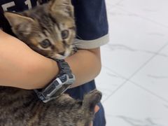 -嘉馨宠物医院·CT影像转诊·心脏科·犬猫全科诊疗中心(下沙大学城院区)