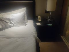 -大同云冈美高大酒店