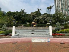 -九龙公园
