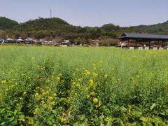 -红山村