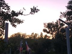 -南宫五洲植物乐园