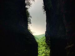 -牛背梁国家森林公园