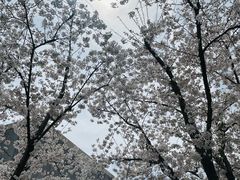 -龙美术馆(西岸馆)