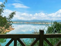 -广州市流溪河国家森林公园