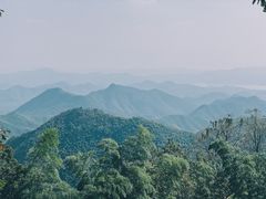 -莫干山风景区