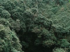 -海口火山口国家地质公园