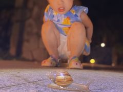 -海南清水湾莱佛士酒店