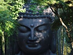 -杭州植物园