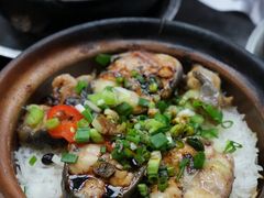 白鳝煲-兴记菜馆