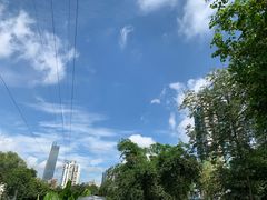 -晓港公园