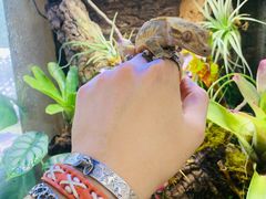 -Rabbit Cafe私房西餐甜点咖啡(栖霞路店)