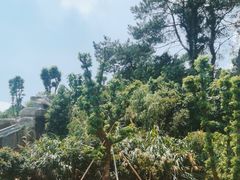 -宁波野生动物园
