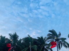 -深圳湾公园(南山区)