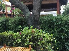 -二荆条·蜀鲜汇城市森林火锅