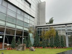 -奔驰上海利星(七宝店)