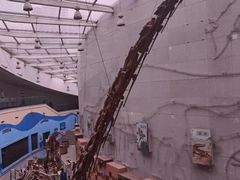 -陕西自然博物馆