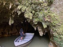 -怀托摩萤火虫洞