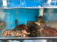 -名超海鲜烧烤大排档