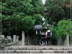 -彩色沙林风景区