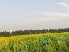 -艾溪湖湿地公园