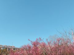 -蜀冈西峰生态公园