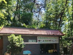 -铁山坪森林公园