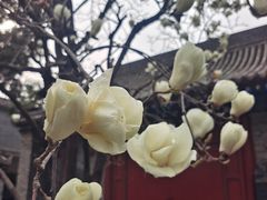 -万寿八仙宫