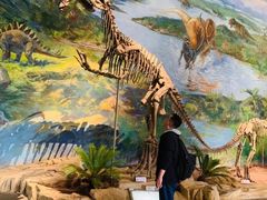 -自贡恐龙博物馆