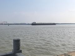 -扬子江公园