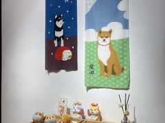 -柴迷FANS CLUB·柴犬狗咖·猫咖