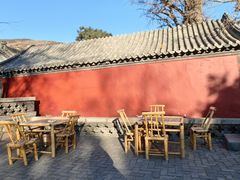 -泰山风景名胜区-普照寺