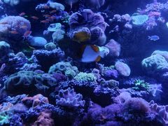 -太平洋海底世界